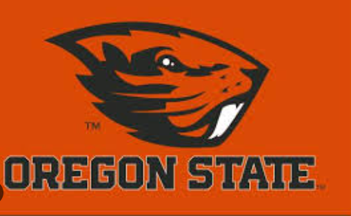 BEAVERS